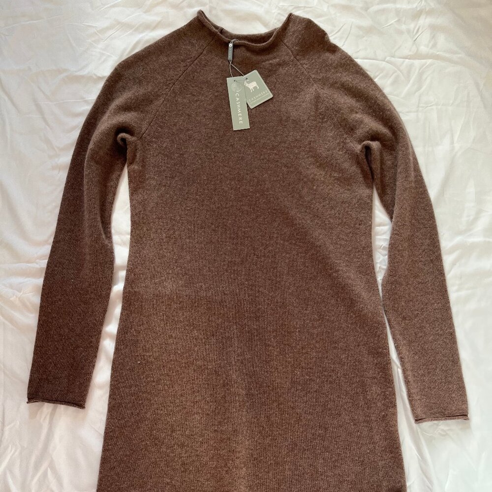 InCashmere Cashmere Sweater Dress Women Small Dark Rose/Purple